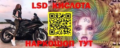 ПСИЛОЦИБИНОВЫЕ ГРИБЫ Можга