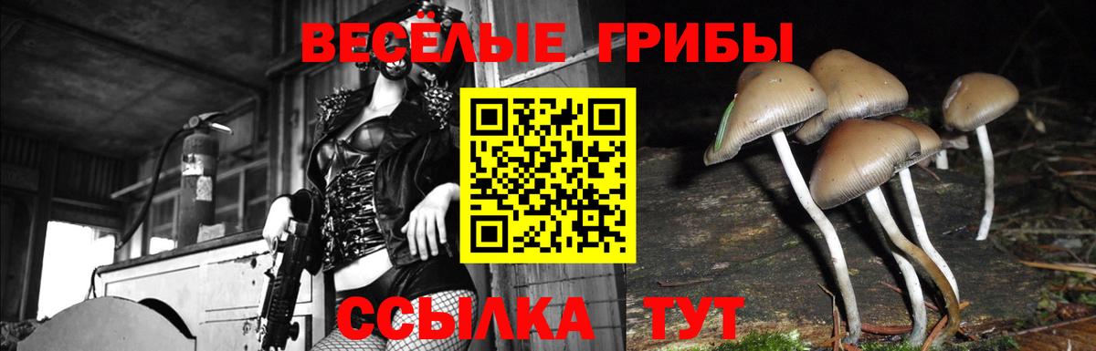 Галлюциногенные грибы мухоморы Рославль